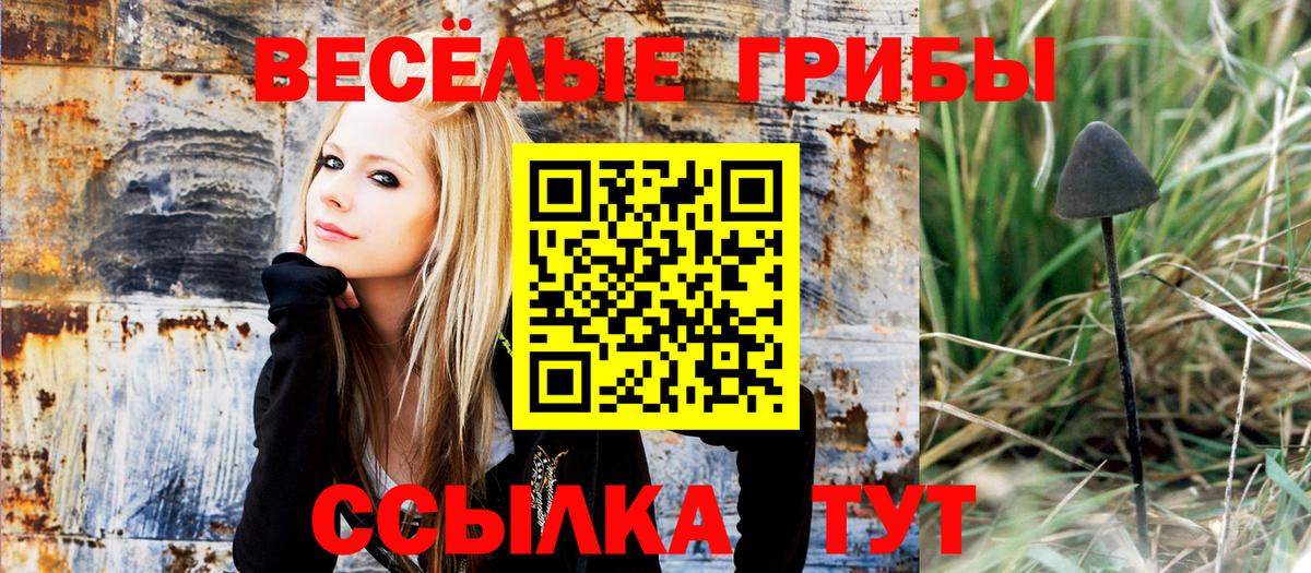 Галлюциногенные грибы GOLDEN TEACHER  Вход с VPN  Псилоцибиновые грибы Psilocybine cubensis  Елизово 