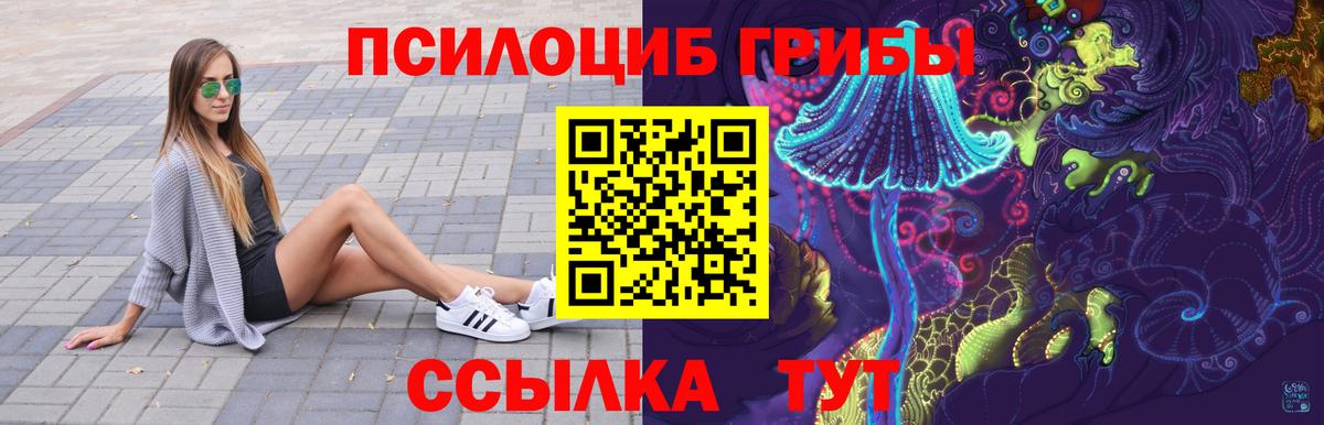 Псилоцибиновые грибы Psilocybine cubensis Елизово